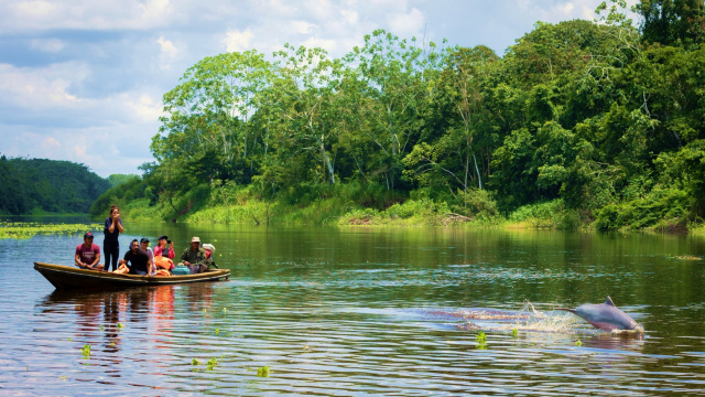 Yarina, the Forest of Mirrors