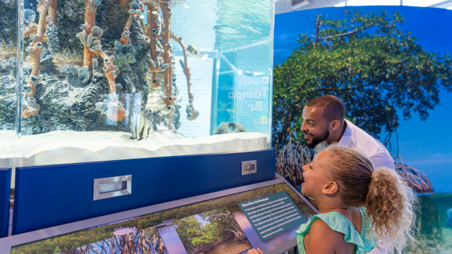 Tampa Bay Watch Discovery Center