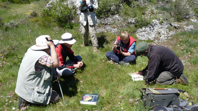 DOSAVES - Nature Observation Tourism