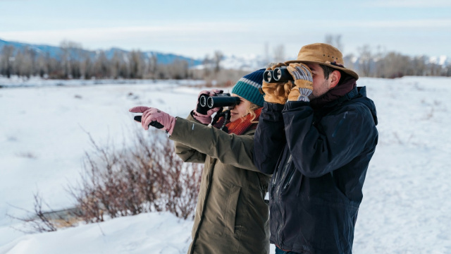 Wildlife Expeditions