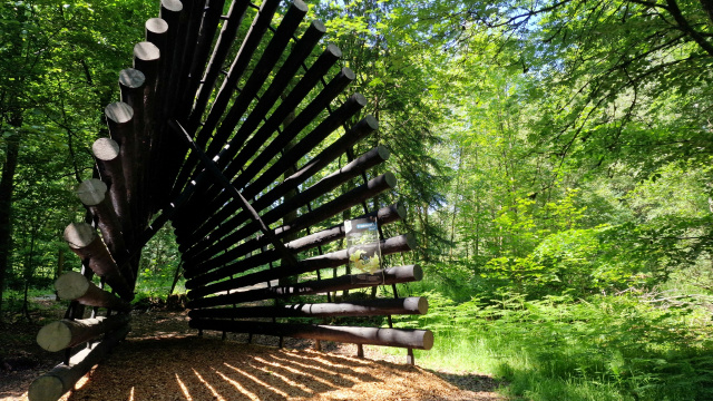 Tenneville Forest Baths