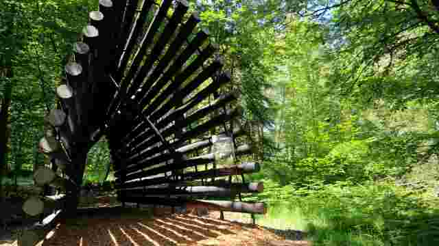 Tenneville Forest Baths