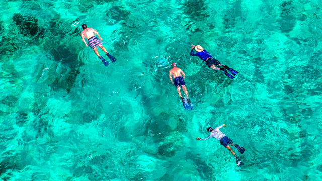 Wild Lime Adventures