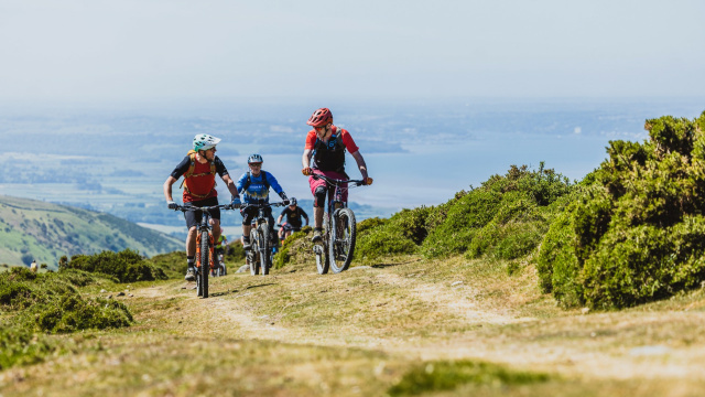 Mountain Bike Wales